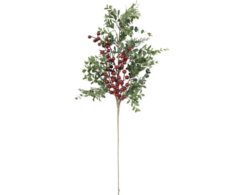 Dekorativer Zweig mit Blättern und Beeren für festliche Dekorationen