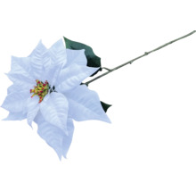 Weiße Kunst-Poinsettie mit Stiel und Blättern