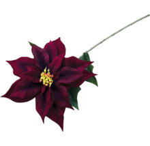 Dekorative rote Weihnachtssternblume mit Stiel und grünen Blättern.
