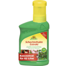 Neudorff Schachtelhalm Extrakt Konzentrat für 62 Liter