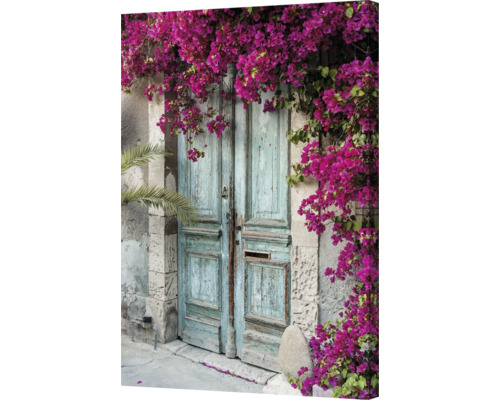 Dekorative Leinwand mit einem Motiv einer alten Holztür und rosa Bougainvillea Blüten