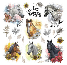 Illustration mit verschiedenen Pferdeporträts und floralen Elementen