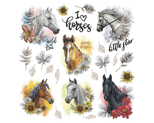 Illustration mit verschiedenen Pferdeporträts und floralen Elementen