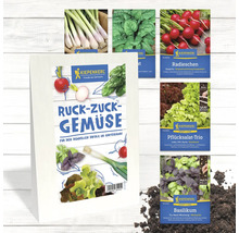 Verschiedene Gemüsesamenpackungen der Marke Kiepenkerl für den schnellen Erfolg im Garten