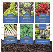 Sortiment von Kiepenkerl-Saatgutpackungen mit Pflücksalat Trio, Basilikum, Radieschen, Lauchzwiebel, Spinat und Aussaat-Ratgeber