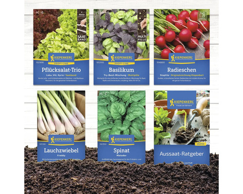 Sortiment von Kiepenkerl-Saatgutpackungen mit Pflücksalat Trio, Basilikum, Radieschen, Lauchzwiebel, Spinat und Aussaat-Ratgeber