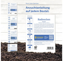Samenpackungen der Gemüsesorten Pflücksalat Trio, Spinat, Lauchzwiebel, Basilikum und Radieschen mit Anzuchtanleitung