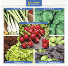 Collage verschiedener Gemüsesorten: Lauchzwiebeln, Spinat, Radieschen, Pflücksalat und Basilikum