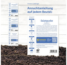 Abbildung einer Saatgutpackung Salatgurke mit Anzuchtanleitung