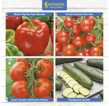 Collage verschiedener Gemüsesorten: Blockpaprika Yolo Wonder, Kirschtomate Cherrola, Salattomate Hellfrucht/Hilmar und Salatgurke Corinto