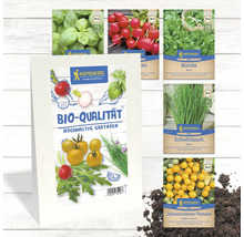 Abbildung verschiedener Kiepenkerl Bio-Saatgutpackungen mit Gemüsesorten