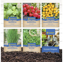 Verschiedene Kiepenkerl Bio Saatgutpackungen: Basilikum, Radieschen, Johannisbeertomate, Schnittlauch, Rucola und Aussaat-Ratgeber.