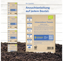 Abbildung verschiedener Kiepenkerl-Samenpackungen, darunter Basilikum, Radieschen, Rucola, Schnittlauch und Johannisbeer-Tomate.