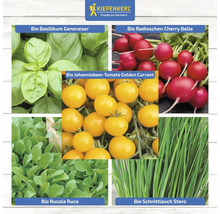 Collage verschiedener Gemüsesorten: Bio-Basilikum Genoveser, Bio-Radieschen Cherry Belle, Bio-Johannisbeer-Tomate Golden Currant, Bio-Rucola Ruca und Bio-Schnittlauch Staro.