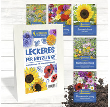 Blumensamen von Kiepenkerl, darunter Sonnenblumen und Blumenmischungen für Bienen und Schmetterlinge