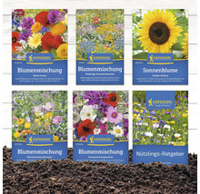 Verschiedene Kiepenkerl Blumensamenpackungen im Überblick.