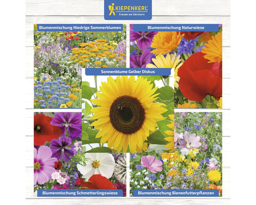 Collage verschiedener Blumensorten und der Kiepenkerl Logo.