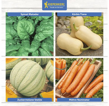 Collage verschiedener Gemüsesorten: Spinat, Kürbis, Zuckermelone und Karotten