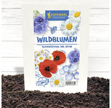 Kiepenkerl Wildblumensamenpackung für den Blumenfestival der Natur