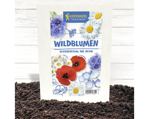 Kiepenkerl Wildblumensamenpackung für den Blumenfestival der Natur