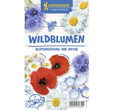 Wildblumensamenpackung von Kiepenkerl