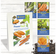 Mehrere Kiepenkerl PowerSaat Saatguttüten mit Gemüseabbildungen