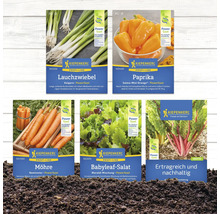 Abbildung verschiedener Samentüten von Kiepenkerl: Lauchzwiebel, Paprika, Möhre, Babyleaf Salat und Mangold.
