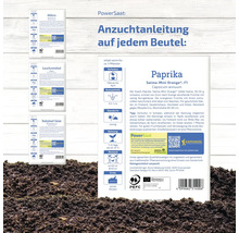Abbildung von Samentüten verschiedener Gemüsesorten, darunter Karotten, Lauchzwiebeln, Babyleaf Salat und Paprika