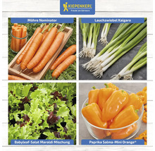 Collage mit Karotten, Frühlingszwiebeln, Babyleaf-Salat und Mini-Paprika