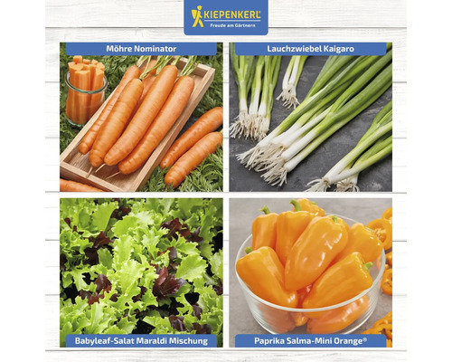 Collage mit Karotten, Frühlingszwiebeln, Babyleaf-Salat und Mini-Paprika