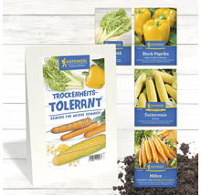 Gemüsesamen von Kiepenkerl: Mangold, Paprika, Zuckermais und Möhren