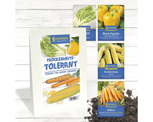 Gemüsesamen von Kiepenkerl: Mangold, Paprika, Zuckermais und Möhren