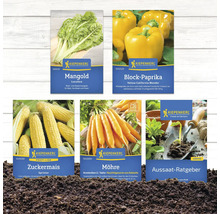 Abbildung verschiedener Sämereien von Kiepenkerl: Mangold, Blockpaprika, Zuckermais, Möhre und ein Aussaat-Ratgeber.