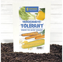Kiepenkerl Trockenheitstolerant Gemüsesamenpackung für heiße Sommer