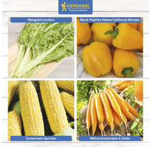 Collage mit Mangold, Paprika, Zuckermais und Möhren