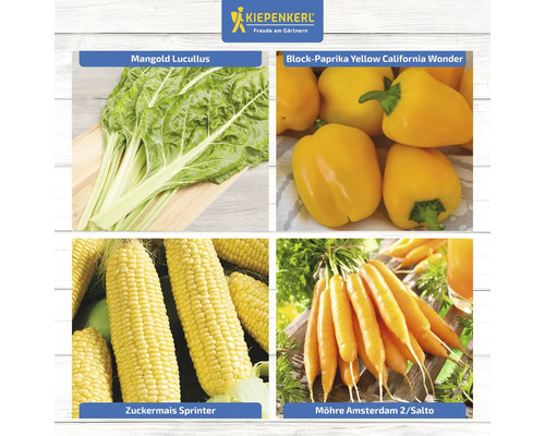 Collage mit Mangold, Paprika, Zuckermais und Möhren