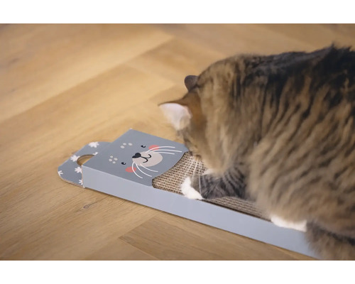 Katze kratzt an einem Kratzbrett aus Karton mit Katzenmotiv.