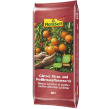 Zitruserde & Mediterranpflanzenerde FloraSelf Select 60x40 L (= 2,4 m³) Palette