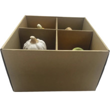 Dekorative Kürbisse in einer Pappbox mit vier Fächern