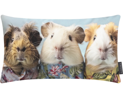 Dekokissen Meerschweinchen bunt 30x50 cm Dekokissen mit Meerschweinchenmotiv im Hemd