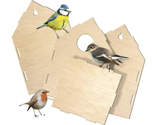 Bausatz für ein Vogelhaus mit verschiedenen Vogelarten
