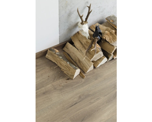 Stapelholz neben Laminatboden mit Geweih und Tierkopfdeko