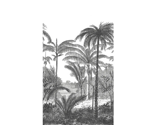 Fototapete Digitaldruck Vlies A58201 Palm Scenery 3-tlg. 280 x 159 cm Tapete mit Palmenmotiv
