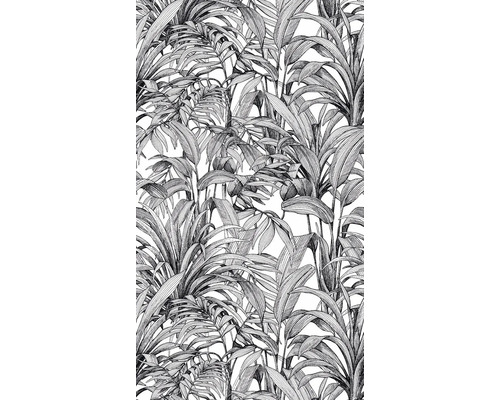 Fototapete Digitaldruck Vlies A58301 Big Aliare 3-tlg. 280 x 159 cm Schwarz-weiße Tapete mit Palmenmuster