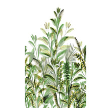 Illustration verschiedener grüner Pflanzen