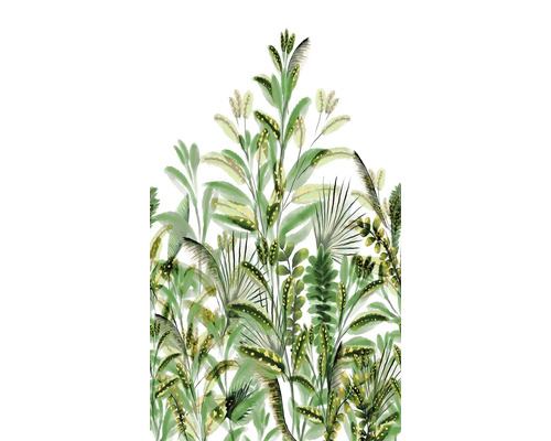 Fototapete Digitaldruck Vlies A59502 Végétal Sobre 3-tlg. 280 x 159 cm Illustration verschiedener grüner Pflanzen