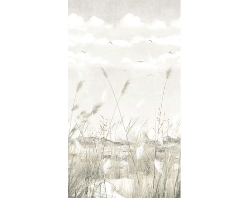 Fototapete Digitaldruck Vlies 202701 North Sea 3-tlg. 280 x 159 cm Tapete mit Gräsern, Himmel und Vögeln