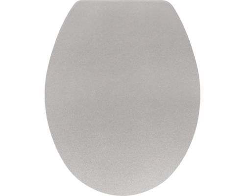 Toilettendeckel aus Kunststoff