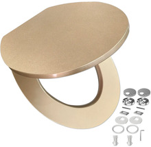 Toilettendeckel mit Befestigungsmaterial