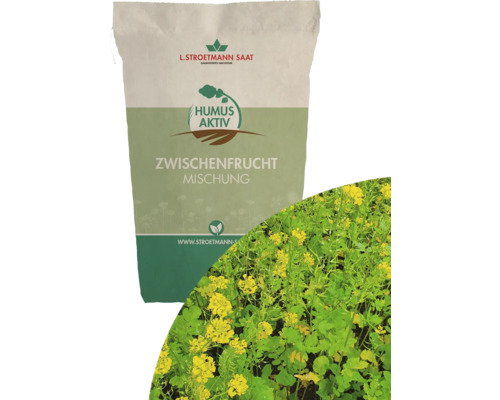 Zwischenfruchtmischung HumusAktiv 'Easy-fit 1' 25 kg / 12500 m² Sack mit Zwischenfruchtmischung von L. Stroetmann Saat